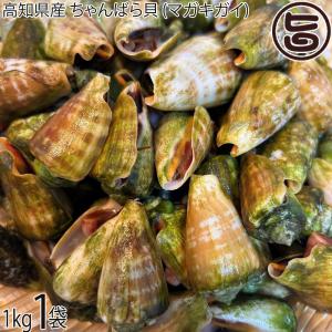 高知県産 マガキガイ 1kg ワクトフーズ チャンバラ貝 : けんこう畑