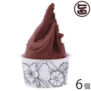 沖縄やんばるジェラート ダークチョコ 90ml×6個セット やんばるジェラート 沖縄 土産 アイスミルク Valrhona ヴァローナ チョコレート｜umaimon-hunter