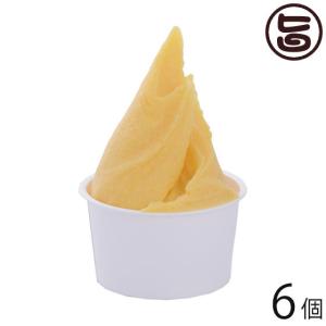 沖縄マンゴー 90ml×6個セット 沖縄やんばるジェラート 沖縄 土産 ジェラート 氷菓 お取り寄せ アイス