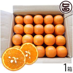 たんかん みかん 食べ方 みかん 柑橘類 の商品一覧 フルーツ 食品 通販 Yahoo ショッピング