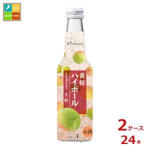 アサヒ ザ・ビタリスト 缶 ( 500ml×24本 )/ ビタリスト アサヒビール