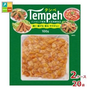 ヤマク テンペ100g×2ケース（全20本）送料無料 爆買