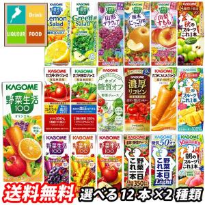 カゴメ 野菜ジュース 野菜生活100 紙パック 選べる 24本（12本×2）選り取り よりどり 送料無料 スマプレ