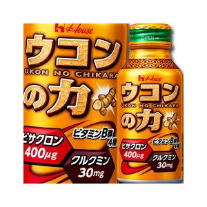 ハウス ウコンの力 ウコンエキスドリンク100ml×2ケース（全60本） 送料