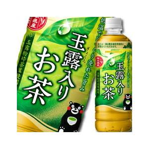 ポッカサッポロ 玉露入りお茶600ml×2ケース（全48本） 送料無料