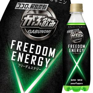 ポッカサッポロ がぶ飲みフリーダムエナジー500ml×2ケース（全48本） 送料無料