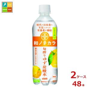 ダイドー 和ノチカラ 旬搾りゆず 炭酸水500m...の商品画像