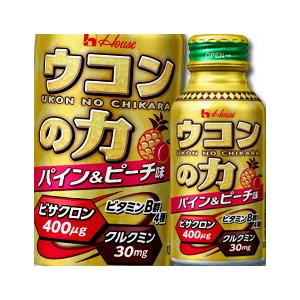 ハウス ウコンの力 ウコンエキスドリンク100ml×1ケース（全30本） 送料