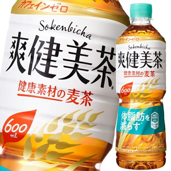 コカ・コーラ爽健美茶 健康素材の麦茶600ml×2ケース（全48本） 送料無料