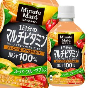 コカ コーラ ミニッツメイド1日分のマルチビタミン280ml×1ケース