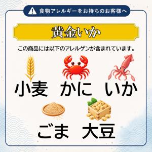 黄金いか いか明太 いか刺し松前漬 3kg セ...の詳細画像5