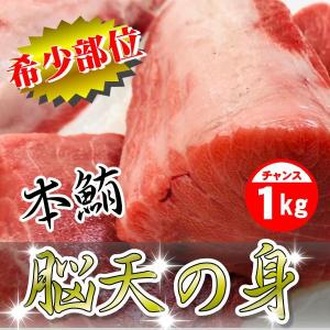 本まぐろ 脳天の身  1kg刺身・寿司・しゃぶしゃぶに、脂のってます