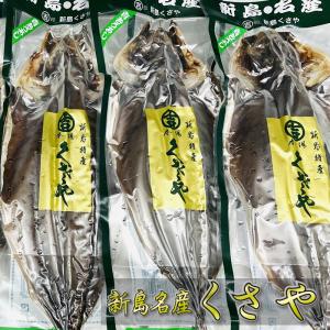 くさや 開き (3枚) 青むろあじのクサヤ【新島特産・真...