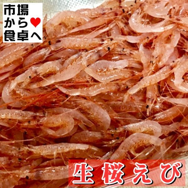 生桜えび (冷凍) 500g 【生食用・業務用】 獲れたての桜海老を急速冷凍しています。刺身・寿司・...