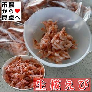 生桜えび (冷凍) 500g 【生食用・業務用...の詳細画像2