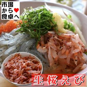 生桜えび (冷凍) 500g 【生食用・業務用...の詳細画像4