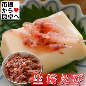 生桜えび (冷凍) 500g 【生食用・業務用...の詳細画像5