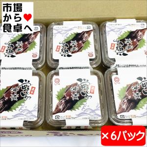 ほたるいか 沖漬け 1パック150g×6小田原しいの食品