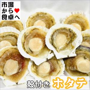 ホタテ ほたて貝 10袋(1袋10枚入り)【殻...の詳細画像1