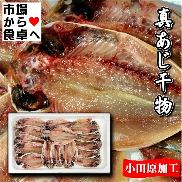 真あじ干物 15枚 中小(1枚当たり約80g) 【小田原前田商店のひもの】 小田原加工、脂あります ...