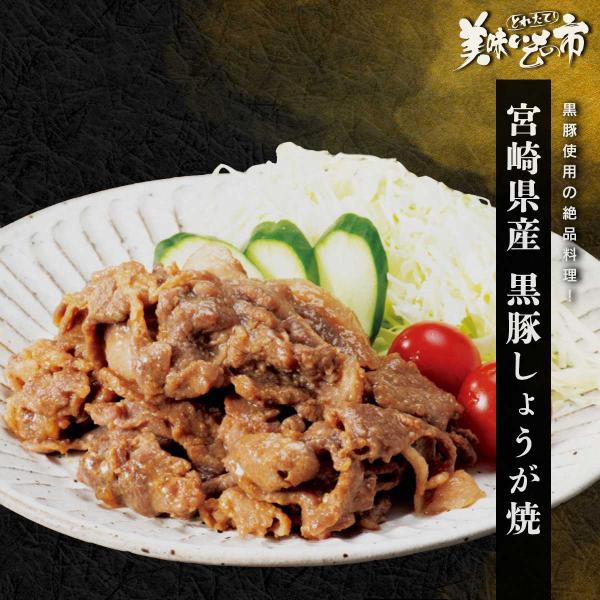 宮崎県産黒豚しょうが焼 / とれたて 美味いもの市