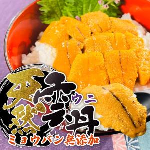 ミョウバン無添加 天然ウニ 300g TV放送...の詳細画像3