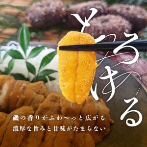 ミョウバン無添加 天然ウニ 300g TV放送...の詳細画像4
