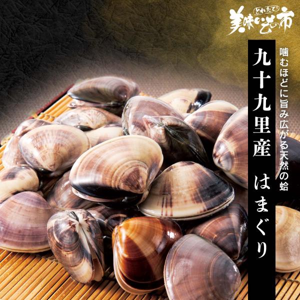九十九里産 はまぐり / とれたて 美味いもの市