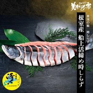 根室産 船上活〆時しらず　 / とれたて 美味いもの市