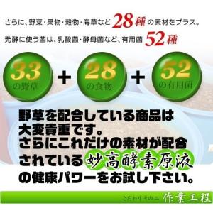 【送料無料】ユアラーゼペースト200g<...の詳細画像1