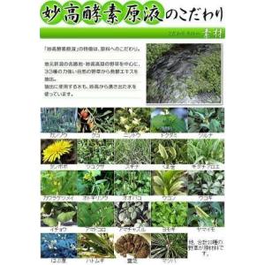【送料無料】ユアラーゼペースト200g<...の詳細画像2