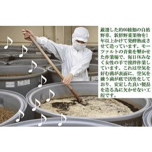 【送料無料】ユアラーゼペースト200g<...の詳細画像3