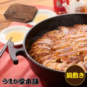 鉄鍋 木蓋付き 24cm 鉄なべ餃子 鍋 IH対応 送料無料 : うまか堂本舗