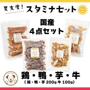 うまか ドッグフード 1.5kg 国産 グルテンフリー 華味鳥 ヒューマン