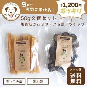 【1200円ぽっきり送料無料】 うまかみかみ  馬背筋ガム ショート  ハツチップ 各50g ※他商品との同梱不可
