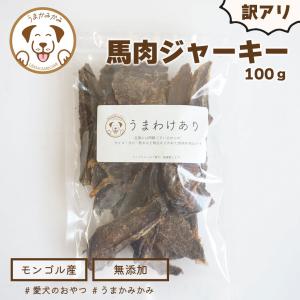 訳アリ1000円SALE   うまかみかみ 馬肉ジャーキー 訳あり 100g 3つまでメール便可