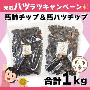 ドクターズダイエット ドクターズ ダイエット 犬用 パピー 3kg : SBS