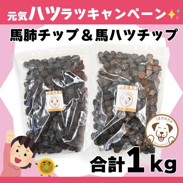 犬 おやつ 無添加 馬 チップ ２点セット 馬肺・馬ハツ 小粒 合計1kg モンゴル産 うまかみかみ...
