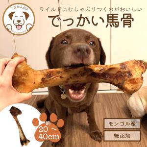 犬 おやつ 無添加 うまかみかみ でっかい 馬骨 かみかみ 硬い おやつ デンタルケア ハード 大型犬 20〜40cm 202304niku