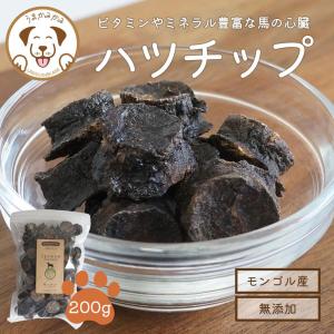 NUTRI BITES フリーズドライサーモン 犬猫用510g 1805224 オメガ3 100