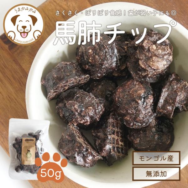 犬 おやつ 無添加 小袋 うまかみかみ 馬肺 チップ 小さめ 2cmサイズ 50g シニア向け 愛犬...