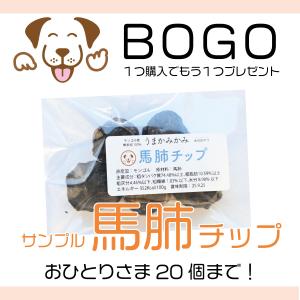 犬 おやつ 無添加 馬肺チップ サンプル 小さめ...の商品画像