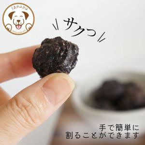 犬 おやつ 無添加 馬肺チップ サンプル 小さ...の詳細画像2