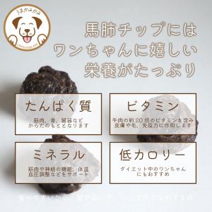 犬 おやつ 無添加 馬肺チップ サンプル 小さ...の詳細画像3