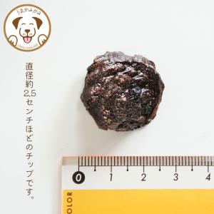 犬 おやつ 無添加 馬肺チップ サンプル 小さ...の詳細画像4