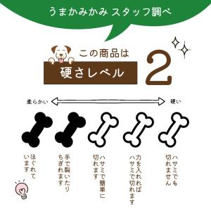 犬 おやつ 無添加 馬肺チップ サンプル 小さ...の詳細画像1