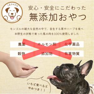 犬 おやつ 無添加 馬肺チップ サンプル 小さ...の詳細画像5