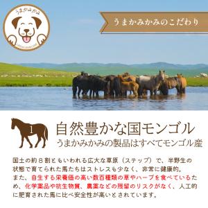 犬 トッピング 無添加 うまかみかみ 馬レバー...の詳細画像2