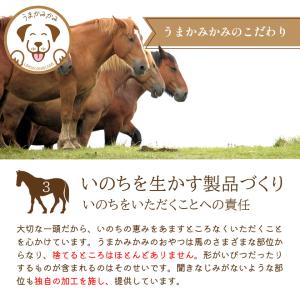 犬 トッピング 無添加 うまかみかみ 馬レバー...の詳細画像4