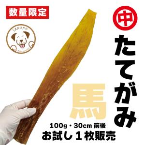 犬用 馬アキレス ロング 80g 15-20cm位 犬のおやつ : エンジェルズ